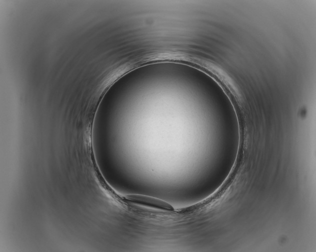X0000094331241200711091357