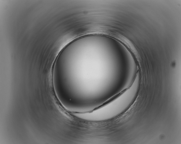 X0000094331242200711091357