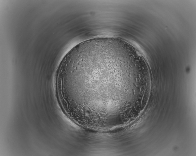 X0000094331243200711091357