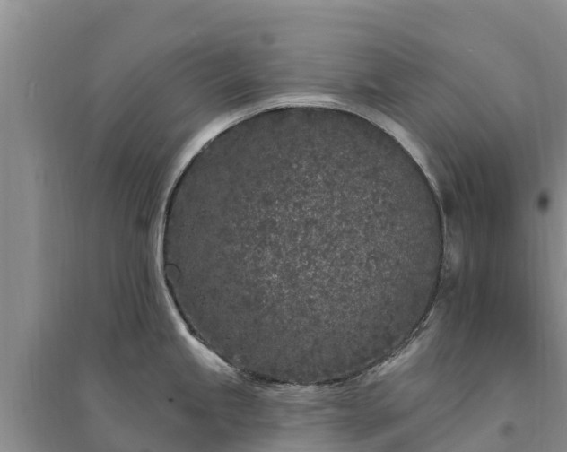 X0000094331245200711091357