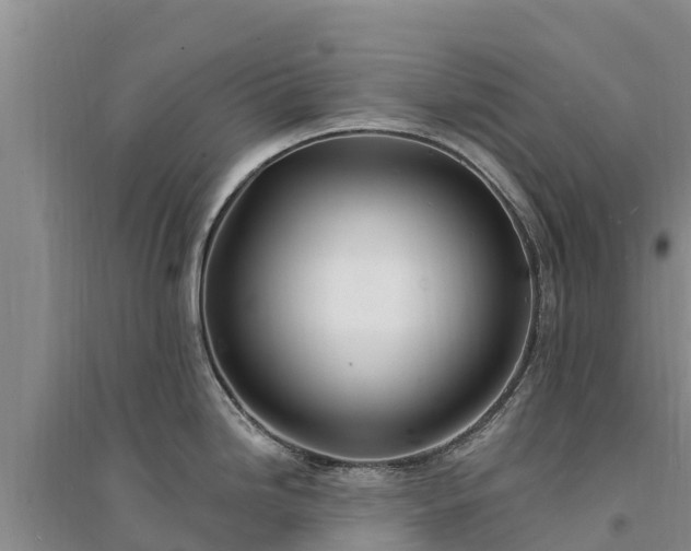 X0000094331246200711091357