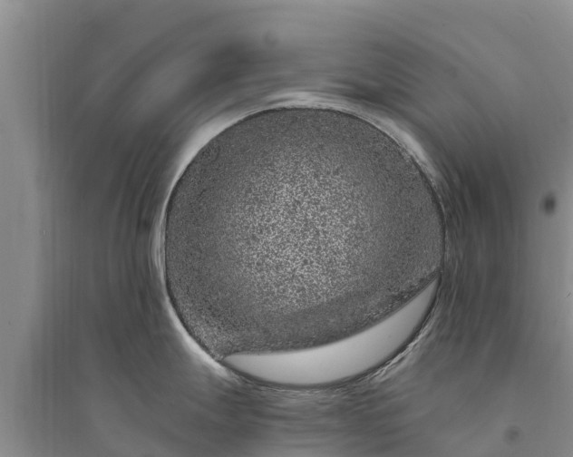 X0000094331247200711091357