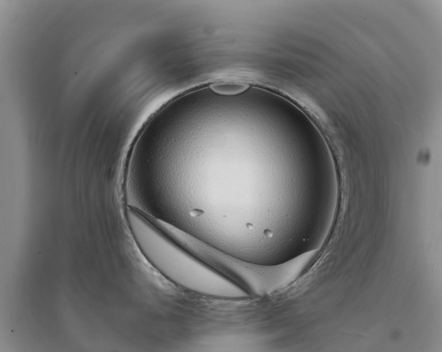 X0000094331248200711091357