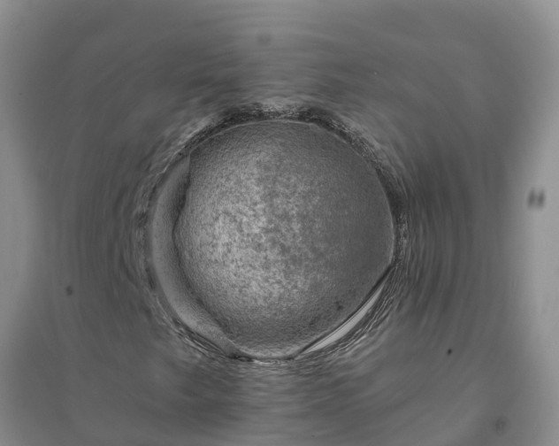 X0000094331249200711091357