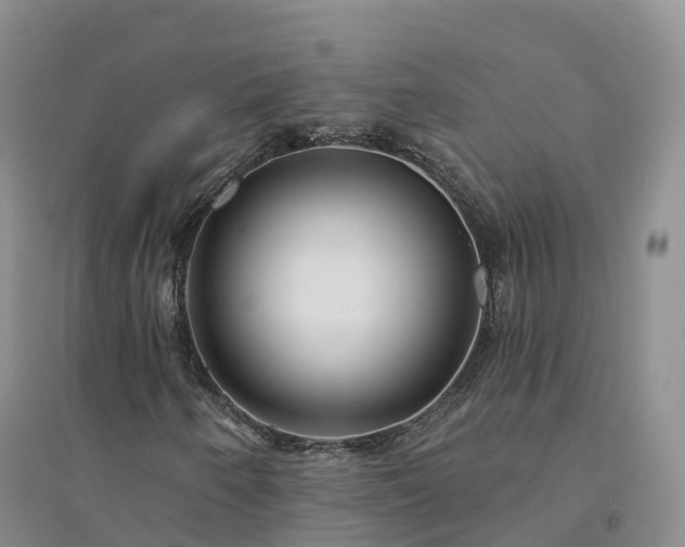 X0000094331250200711091357