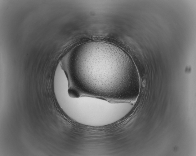 X0000094331252200711091356