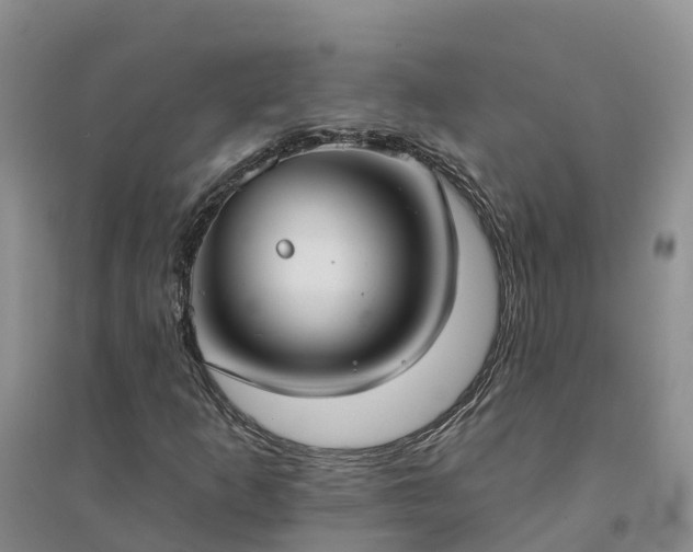 X0000094331253200711091356