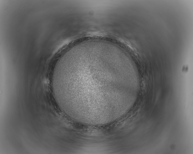 X0000094331254200711091356