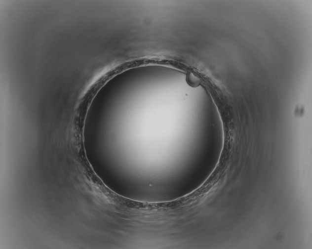 X0000094331256200711091356