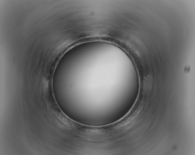 X0000094331257200711091356