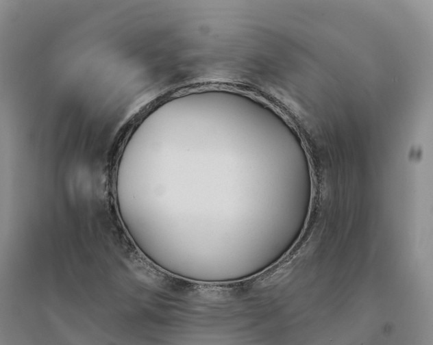 X0000094331258200711091356