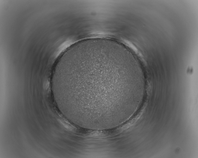 X0000094331259200711091356