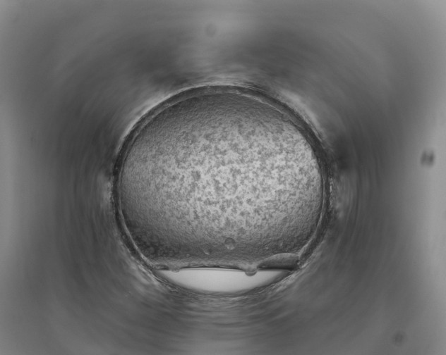 X0000094331260200711091356