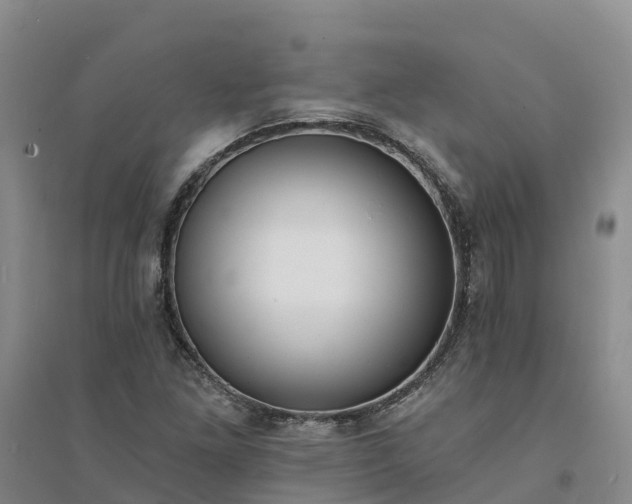 X0000094331261200711091356