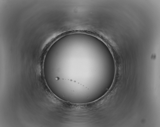 X0000094331262200711091356