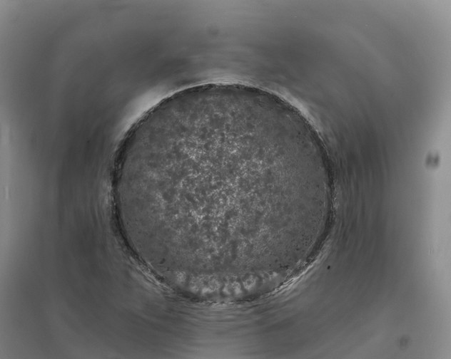 X0000094331263200711091356
