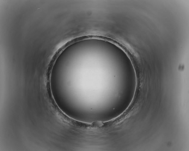 X0000094331264200711091356