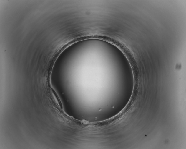 X0000094331265200711091356