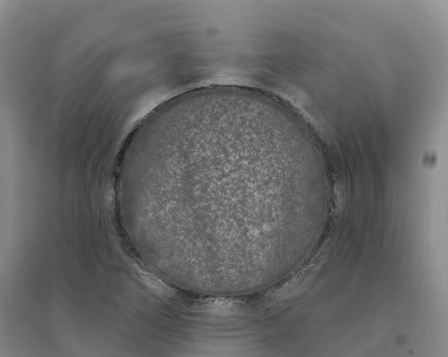 X0000094331266200711091356