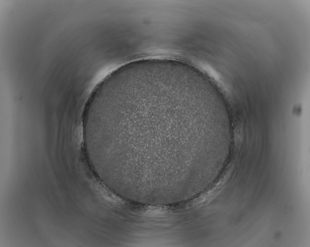 X0000094331267200711091356