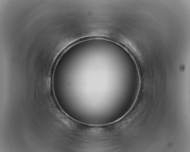 X0000094331268200711091356