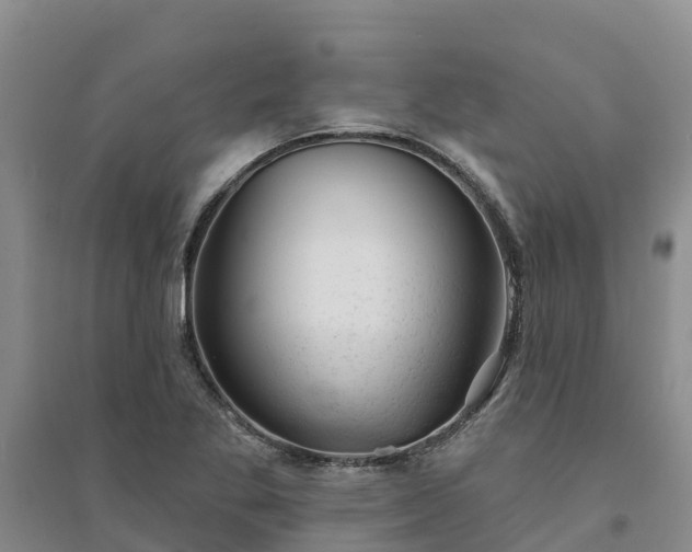 X0000094331269200711091356