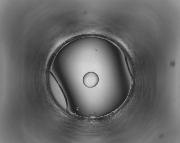 X0000094331270200711091356