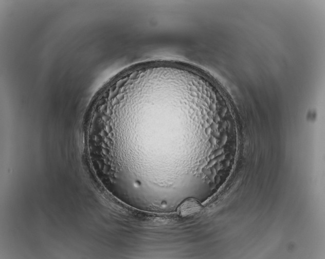X0000094331271200711091356