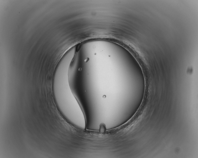 X0000094331273200711091356