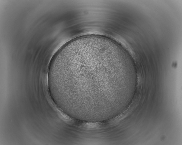 X0000094331274200711091356