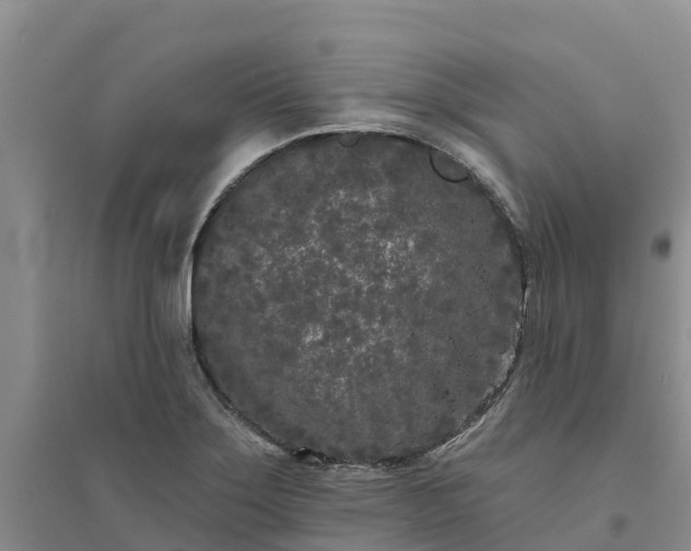 X0000094331275200711091356