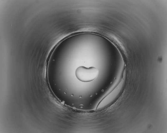 X0000094331276200711091356