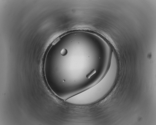 X0000094331277200711091356