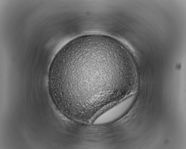 X0000094331279200711091356