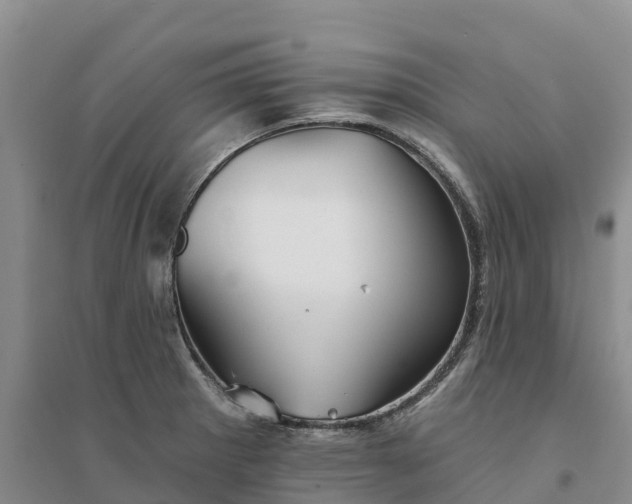 X0000094331281200711091356
