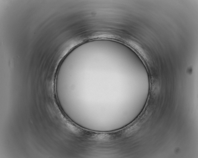 X0000094331282200711091356