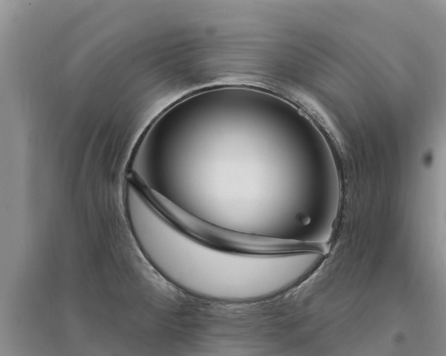X0000094331284200711091356