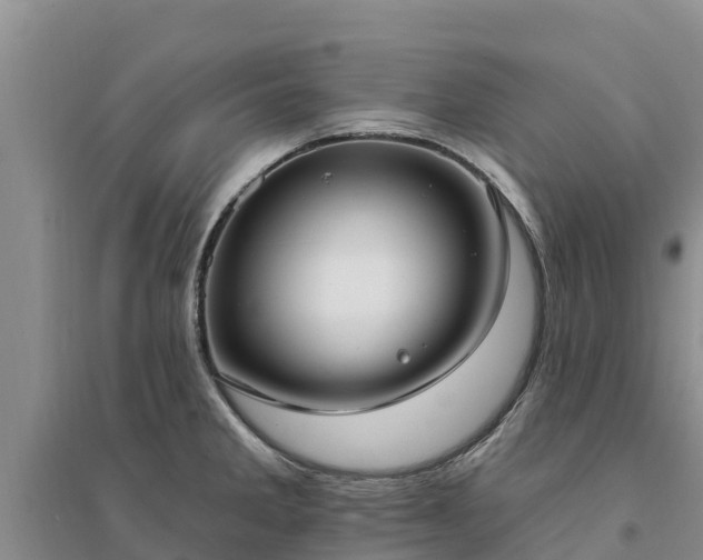 X0000094331285200711091356