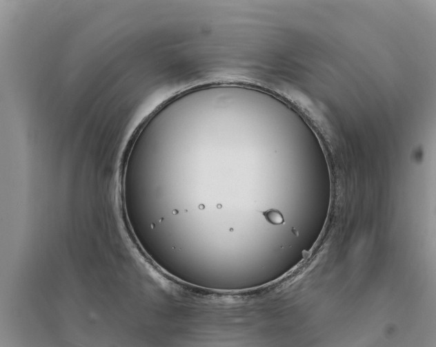 X0000094331286200711091356