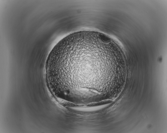 X0000094331287200711091356