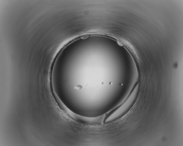 X0000094331288200711091356