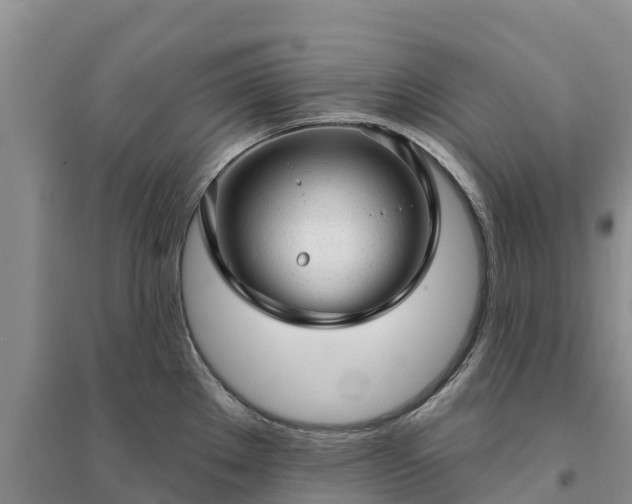 X0000094331289200711091356