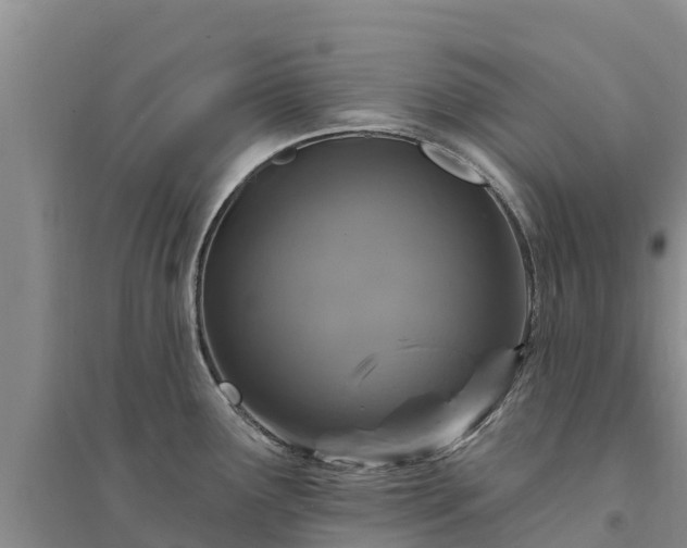 X0000094331291200711091356