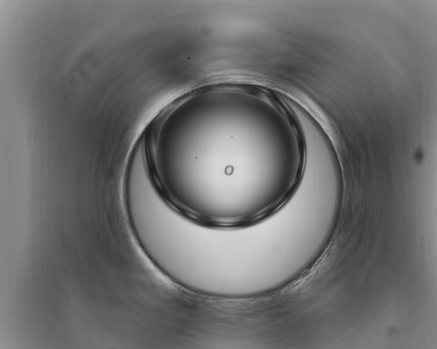 X0000094331293200711091356