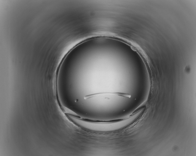X0000094331295200711091356