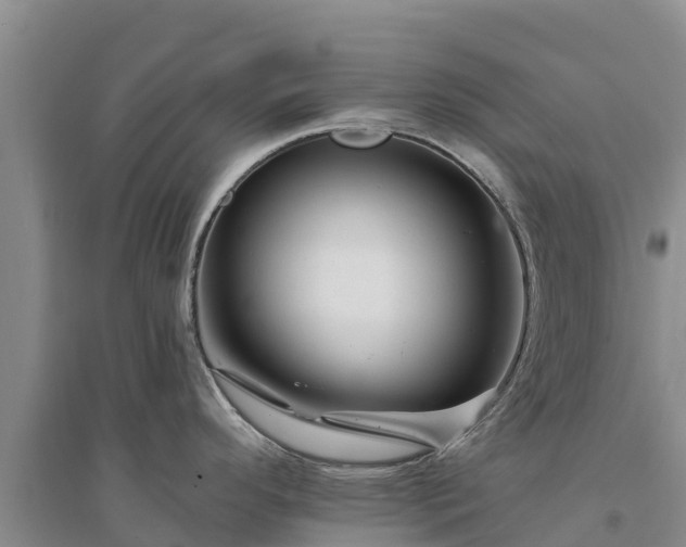 X0000094331296200711091356