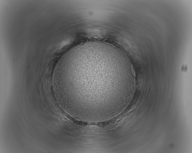 X0000094331297200711091355