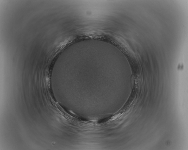 X0000094331298200711091355