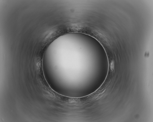 X0000094331299200711091355