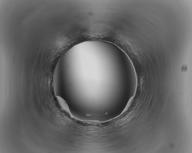 X0000094331300200711091355